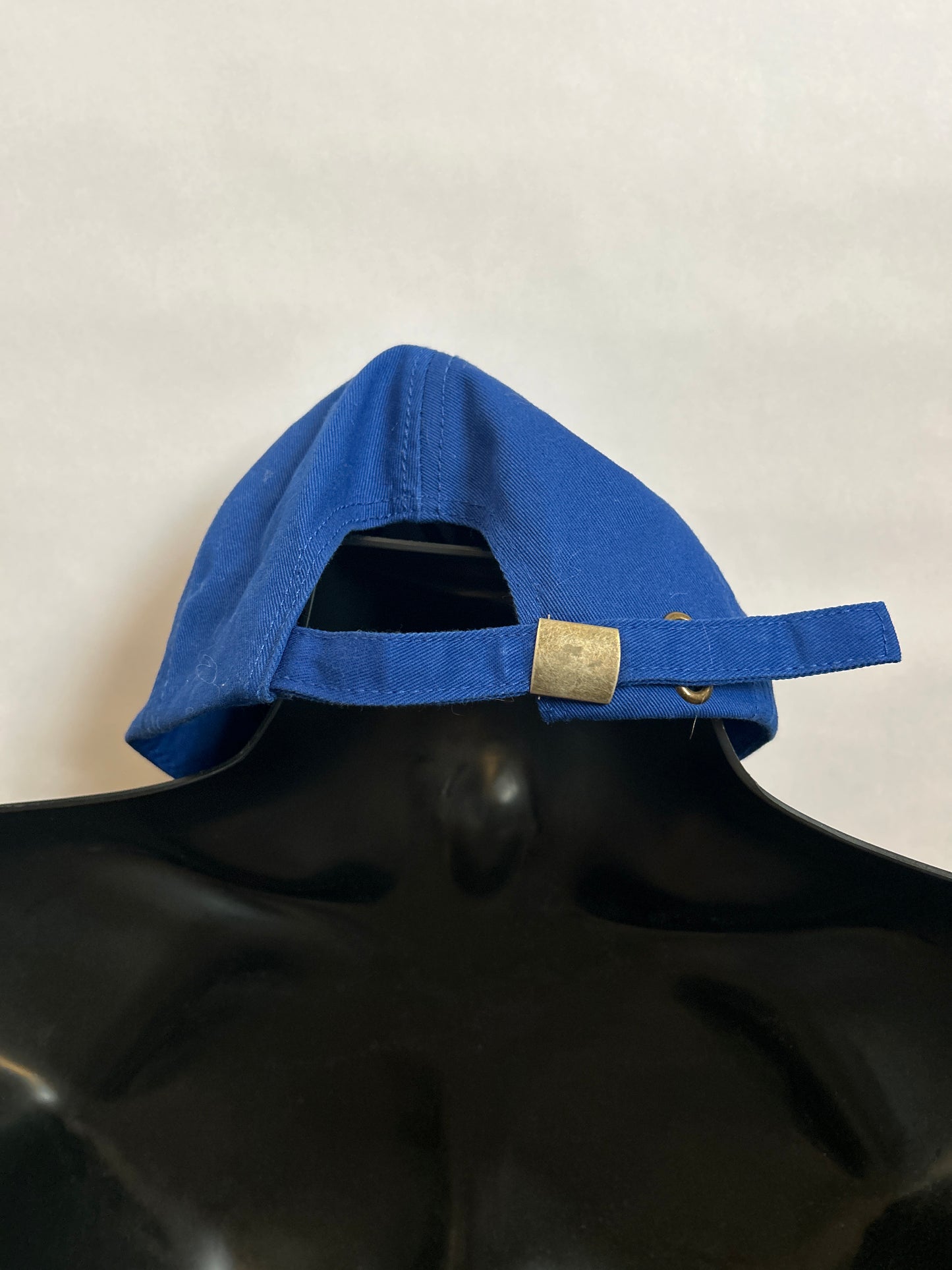 Humuhumunukunukuapua’a Hawai’i Hat