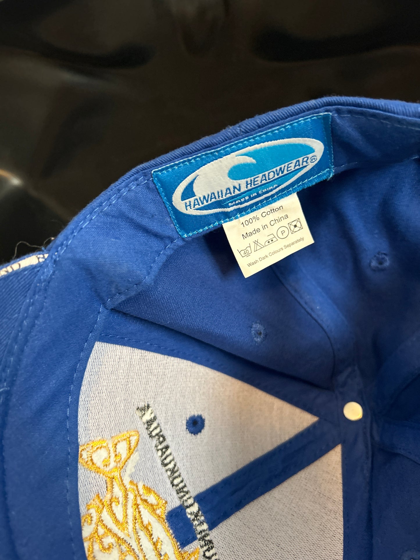 Humuhumunukunukuapua’a Hawai’i Hat