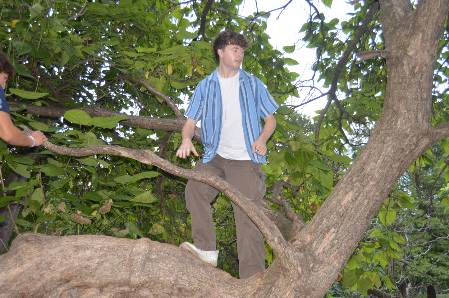 Free Planet Blue Striped Button Up M