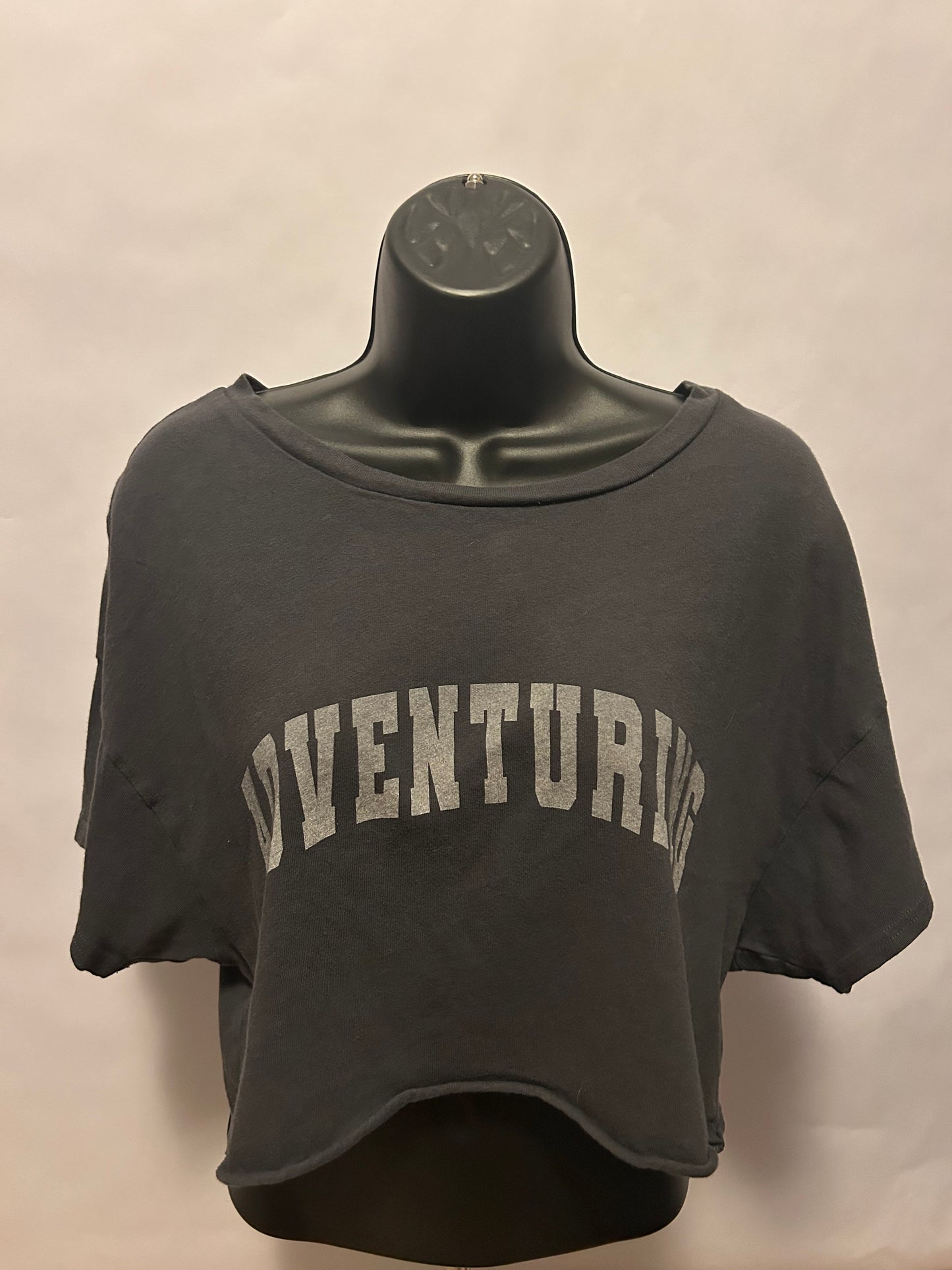 Offline by Aerie Adventuring Crop T- Shirt S