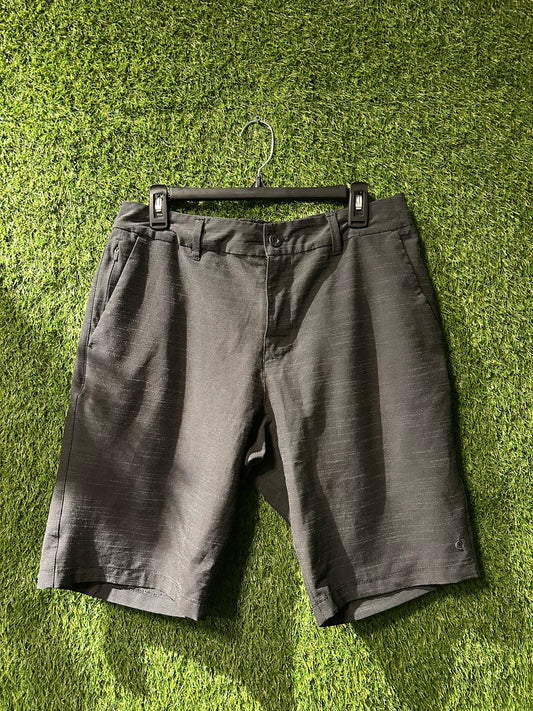 Hang Ten Shorts 32