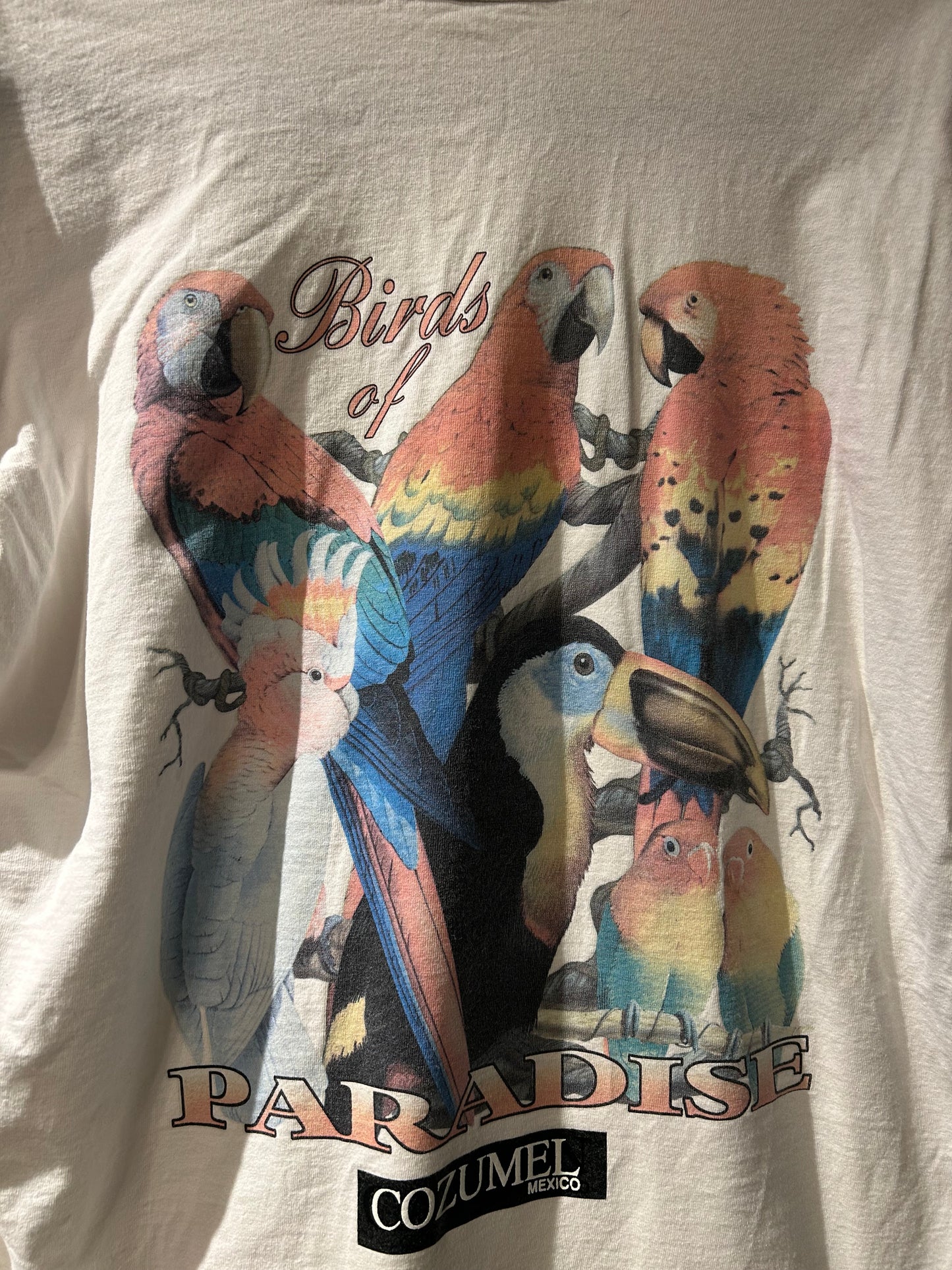 Cozumel Mexico Parrot T-Shirt M