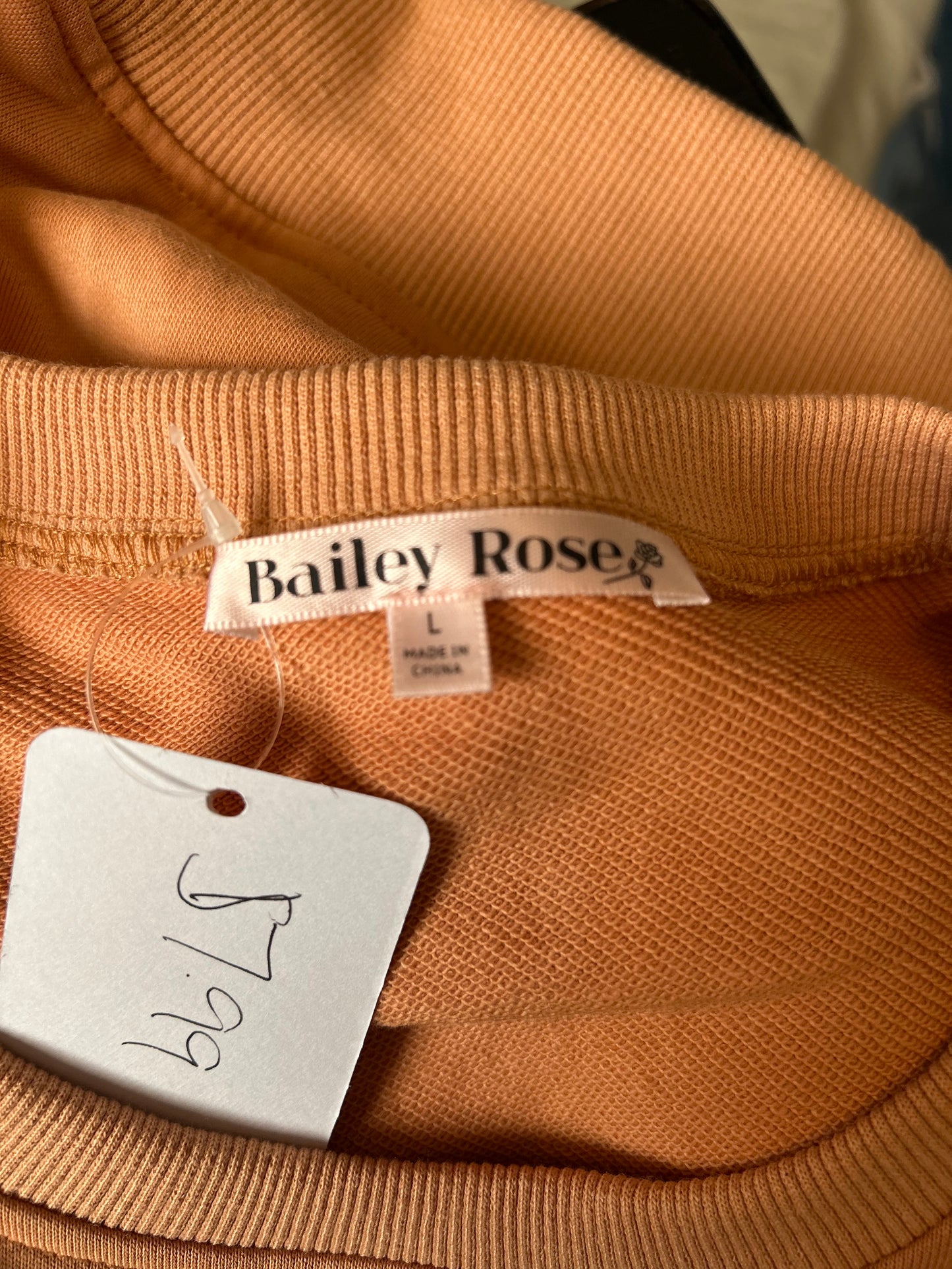 Bailey Rose Burnt Orange Crop Top L