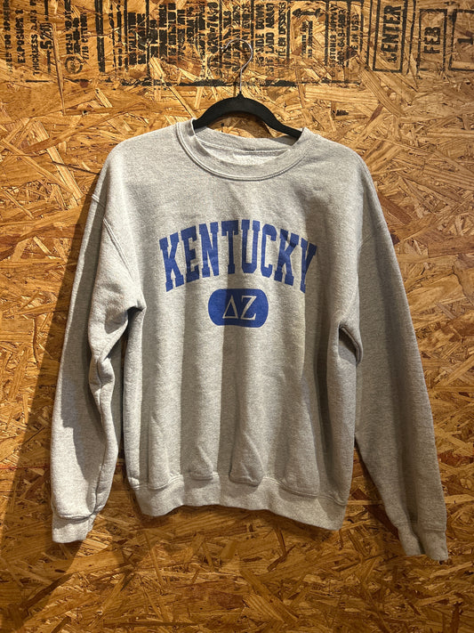 Kentucky Delta Zeta Sweatshirt M