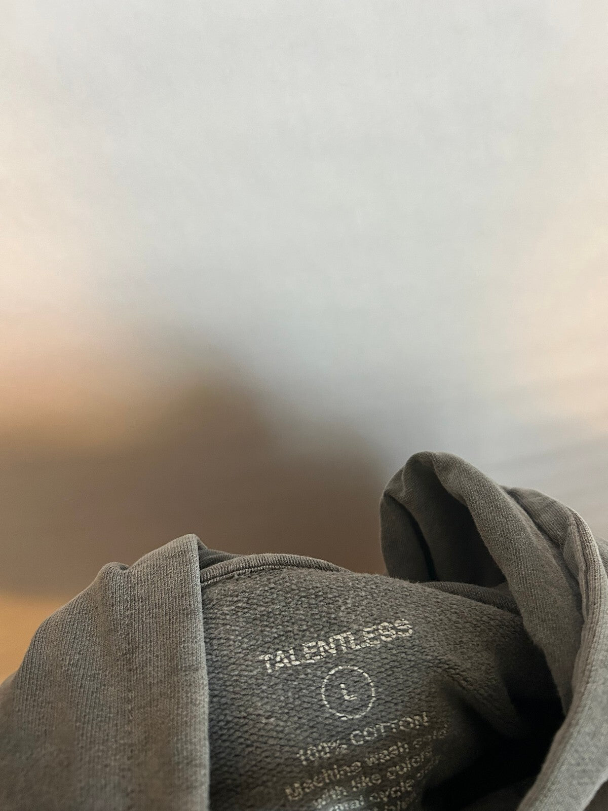 Talentless Circle Logo Heavyweight Hoodie L